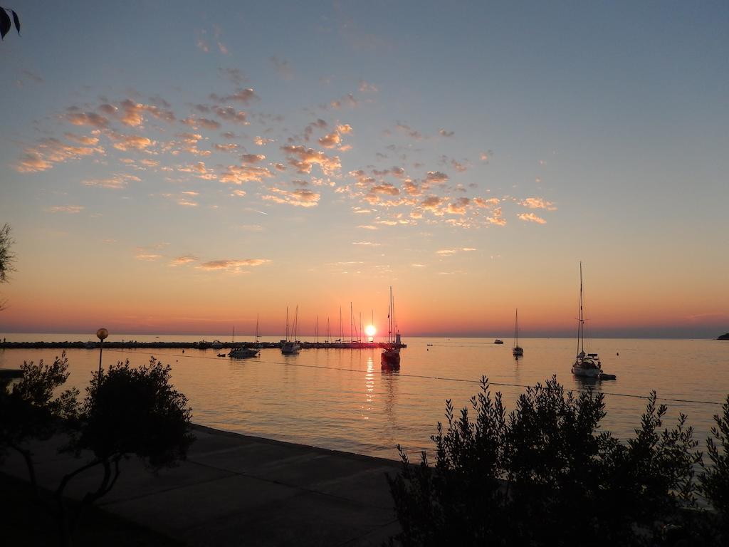 Apartments Nautica Novigrad  Exterior photo